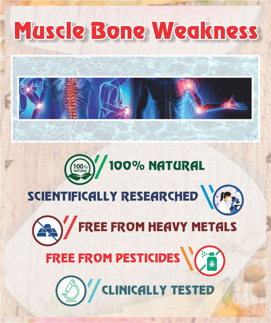Muscle/bone weakness Root Cause Treatment Pack - Sharangdhar