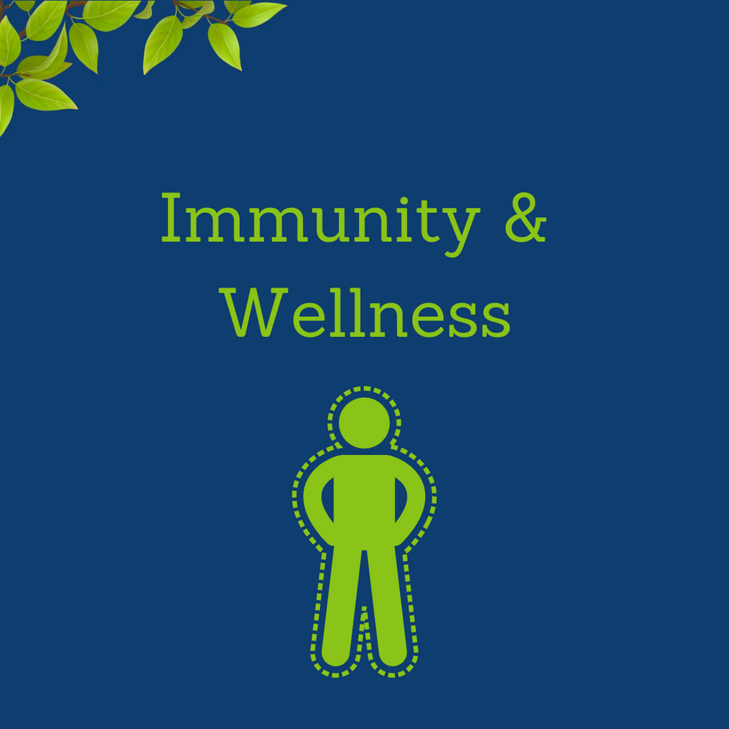 Immunity & Wellness - Sharangdhar Ayurveda