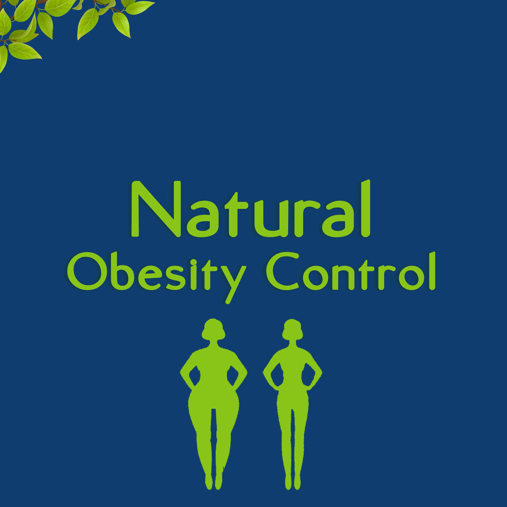Natural Obesity Control - Sharangdhar Ayurveda