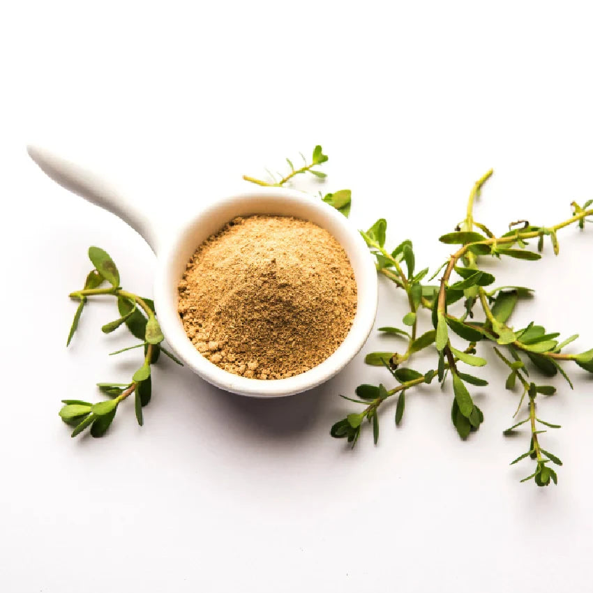 Single Herb Tabs/Powder - Sharangdhar Ayurveda