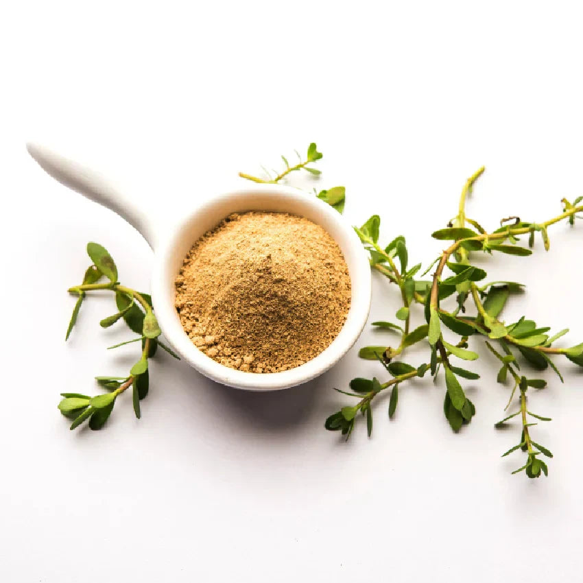 Single Herb Churnas