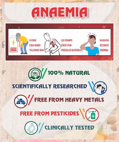 Anemia Root Cause Treatment Pack - Sharangdhar