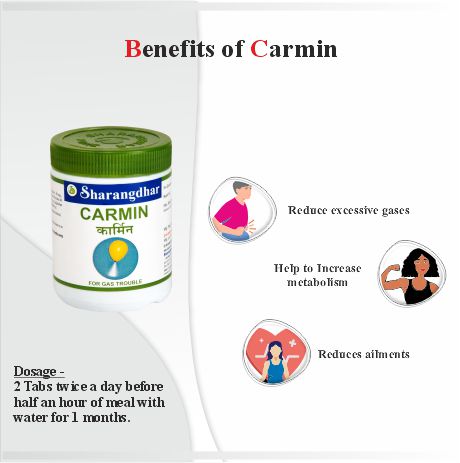 CARMIN SHARANGDHAR AYURVEDA -  Ayurvedic Solution for abdominal pain and discomfort - Sharangdhar