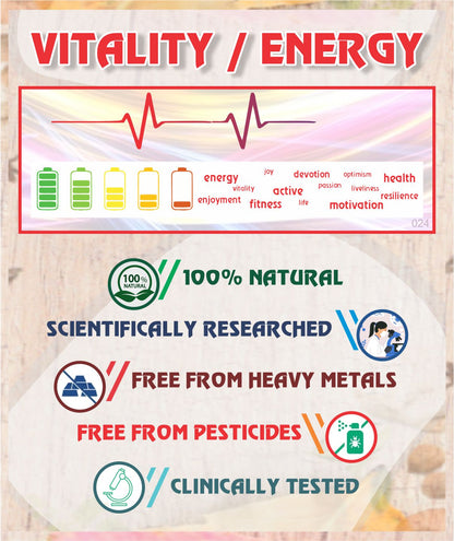 Vitality Root Cause Treatment - Sharangdhar